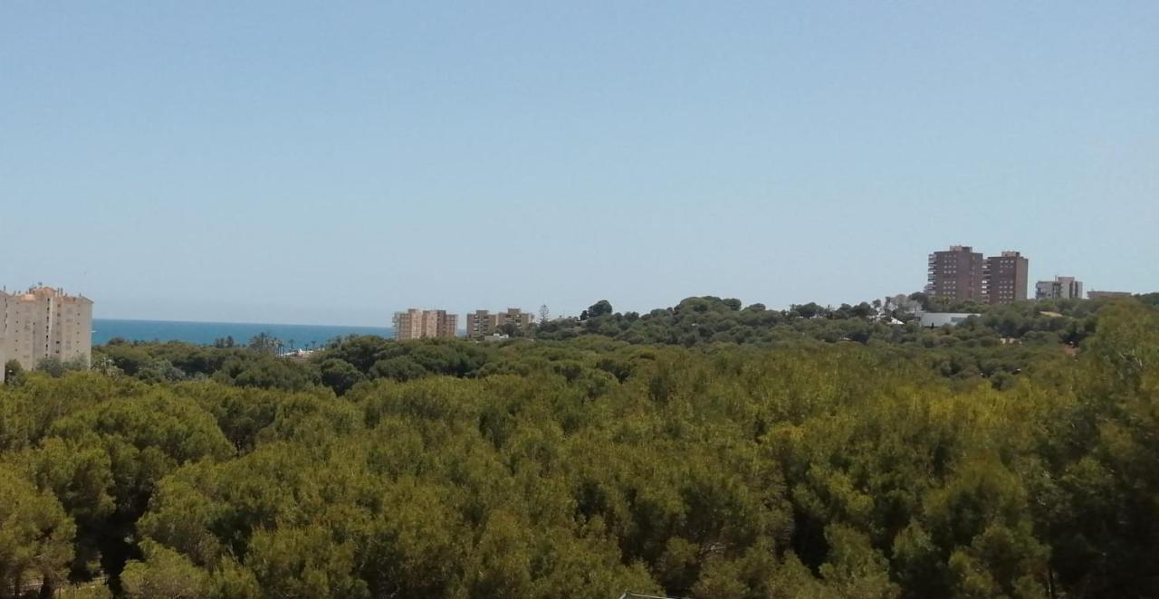 Campoamor Seaview Eksteriør billede